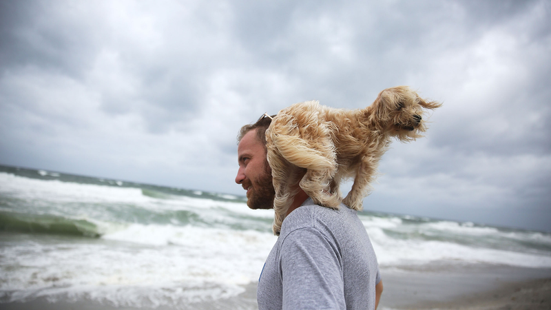 Ted Houston and his dog Kermit visit the beach as Hurricane Matthew approaches the area on October 6, 2016 in Palm Beach, United States. The hurricane is expected to make landfall sometime this evening or early in the morning as a category 4 storm. (Image: Getty)